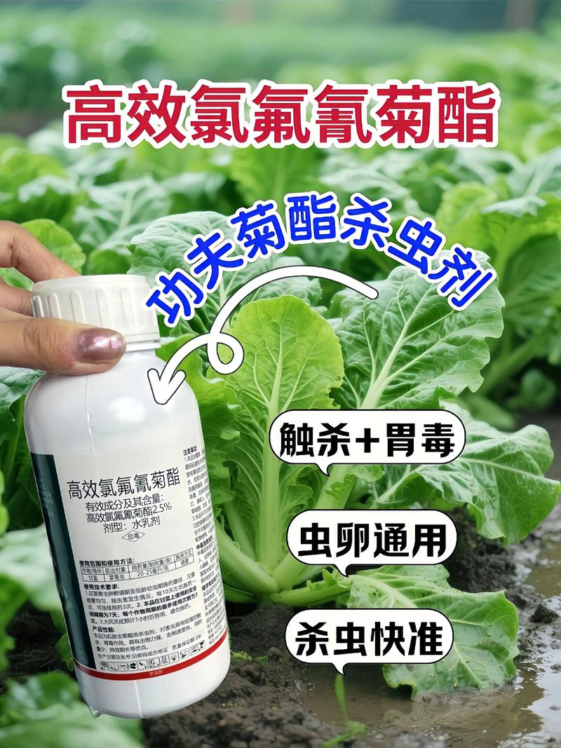 乌鲁木齐代生中心:农药对供卵代生妈妈的危害